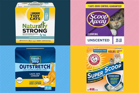 best litter for cat|The 11 Best Cat Litters of 2024, Tested and Reviewed .